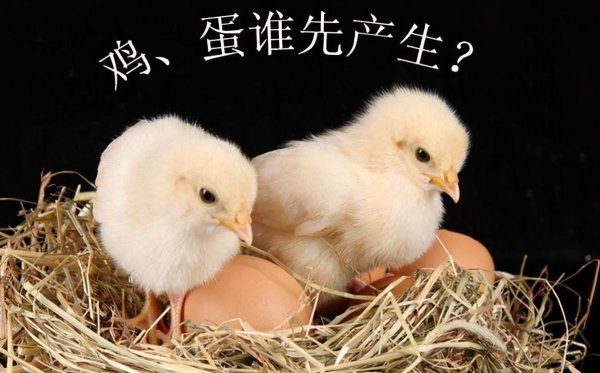 先有的鸡还是有的蛋的回答