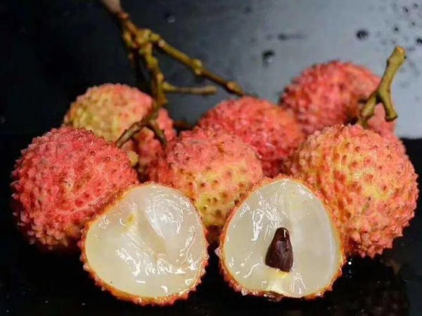 荔枝是哪里的特产