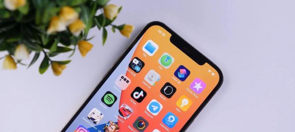 苹果11卡死屏幕无反应原因