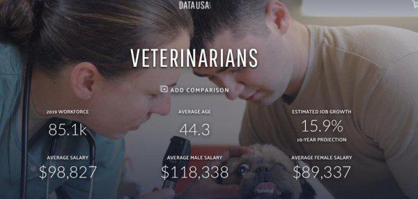 有证的兽医平均一月挣多少钱