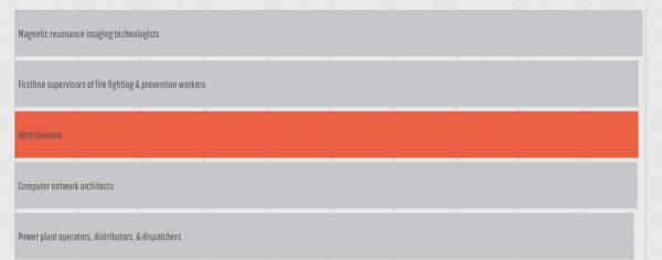 有证的兽医平均一月挣多少钱
