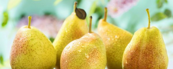 怎么吃梨治咳嗽