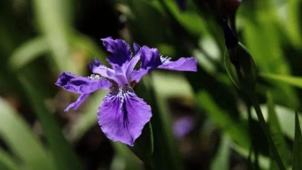 妻子出轨要离婚怎么办