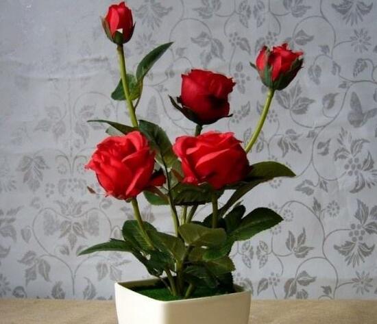 玫瑰花多久浇一次水合适