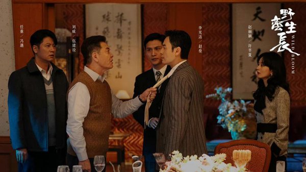 最近定档的电视剧有什么