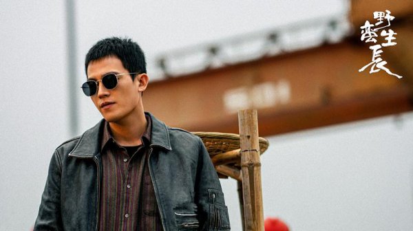 最近定档的电视剧有什么