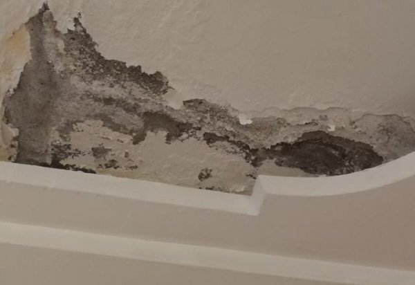 买房子时候哪些楼层房不能买