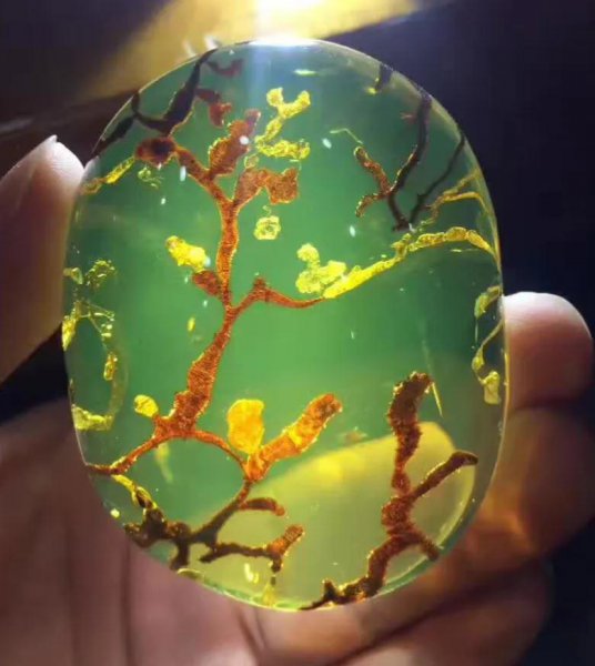 血珀收藏多大的有价值