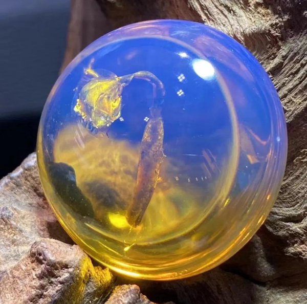 血珀收藏多大的有价值