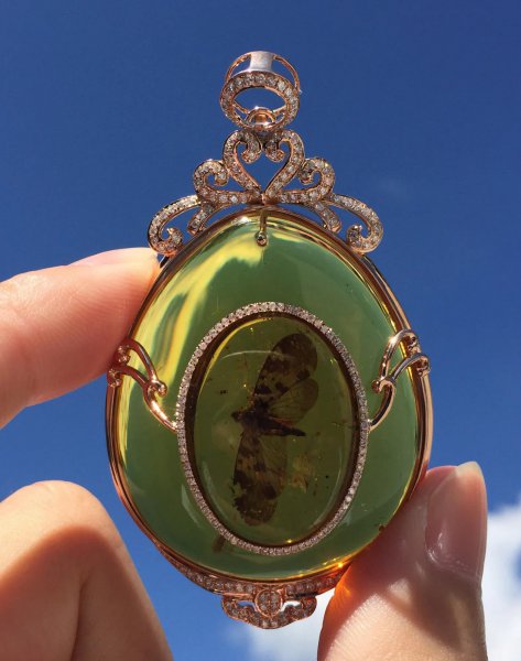 血珀收藏多大的有价值