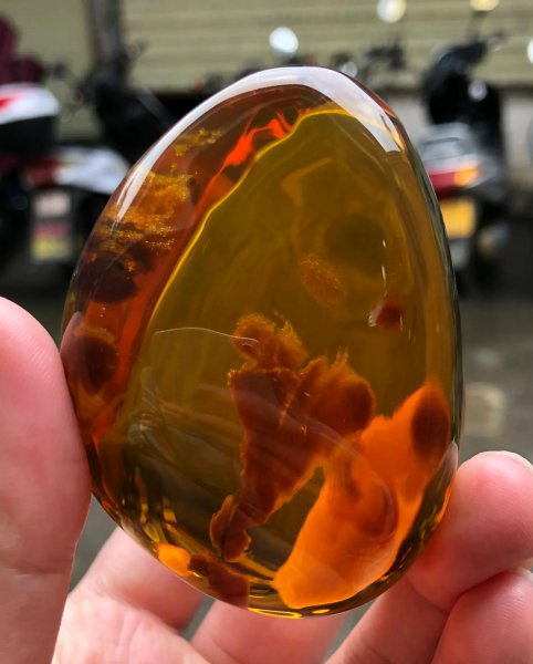 血珀收藏多大的有价值