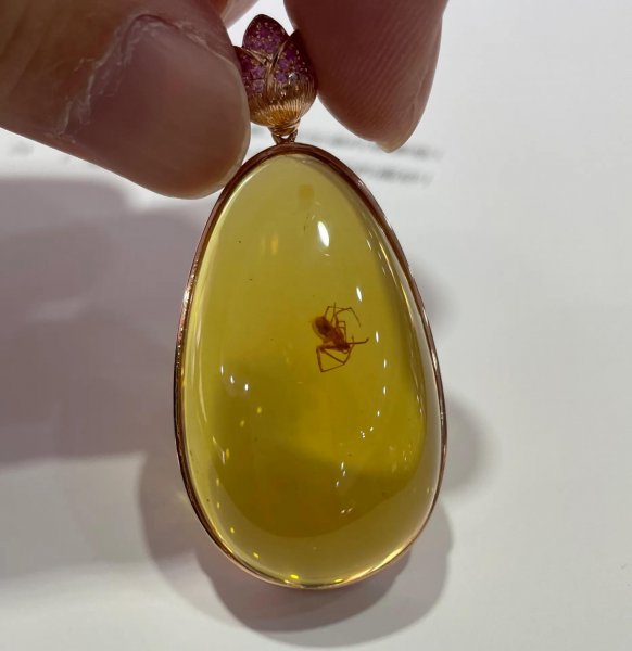 血珀收藏多大的有价值