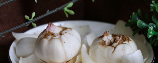 新鲜百合的食用方法