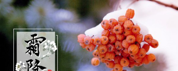 霜降的注意事项