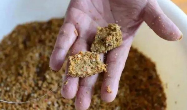 鲤鱼什么季节最好钓