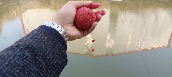 鲤鱼什么季节最好钓