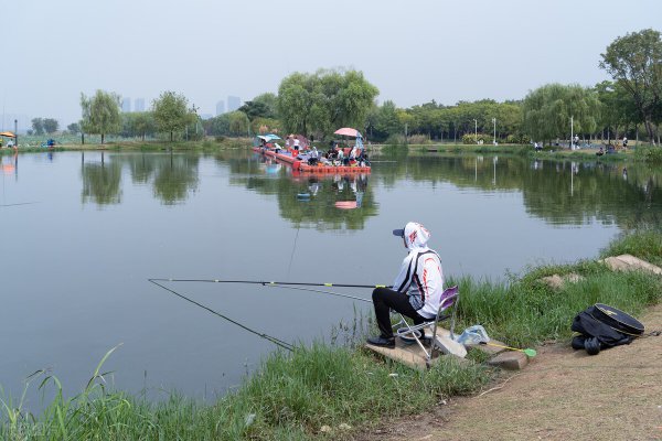 鲤鱼什么季节最好钓