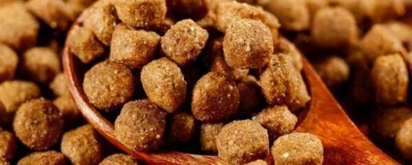 怎么分辨狗粮的好坏