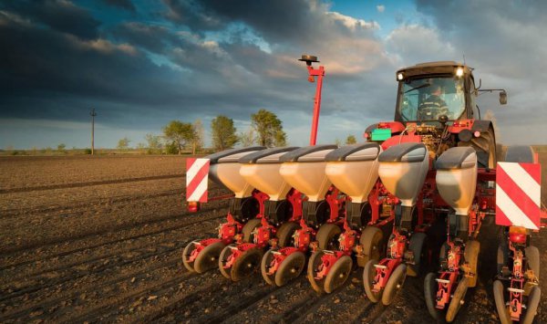 一亩玉米的成本和利润多少