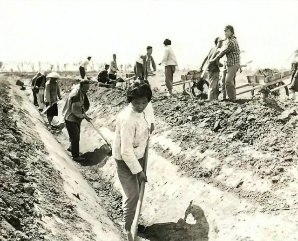 生产队的驴都不敢这么休息