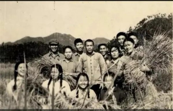 生产队的驴都不敢这么休息