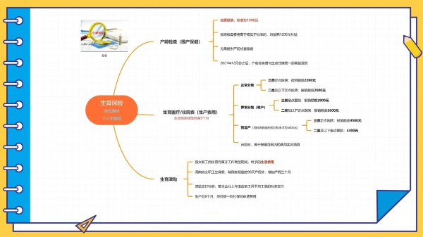男方生育保险怎么用