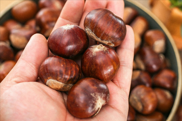 煮板栗怎么煮好吃又好剥皮