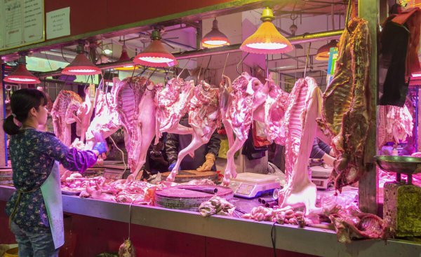 现在养羊赚钱吗