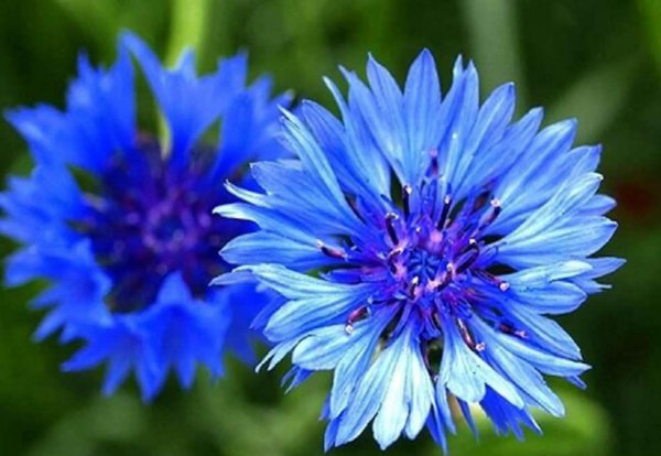 德国人口2023总人数口是多少