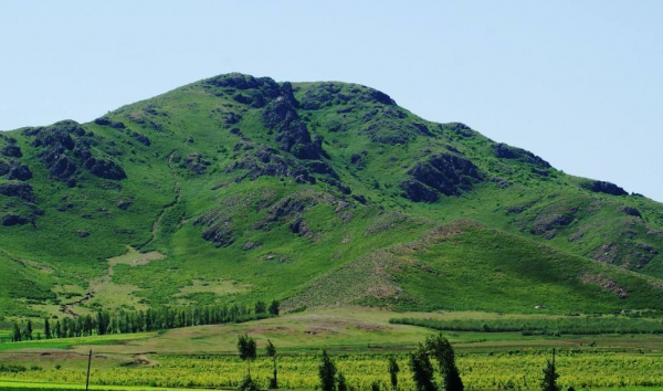 吉林省大安市属于哪个市