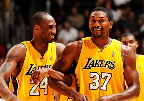 罗恩·阿泰斯特生涯数据