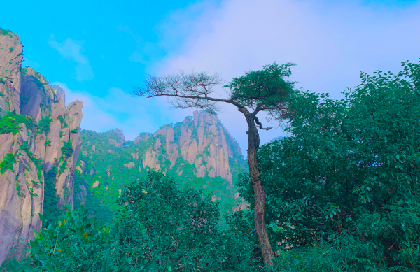 教你一招吃定摩羯女