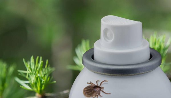 除螨喷雾真的可以去螨虫吗