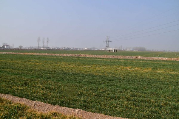 小麦追肥的最佳时期在什么时候