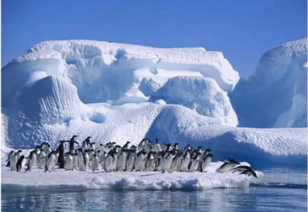 大洋洲国家有哪几个