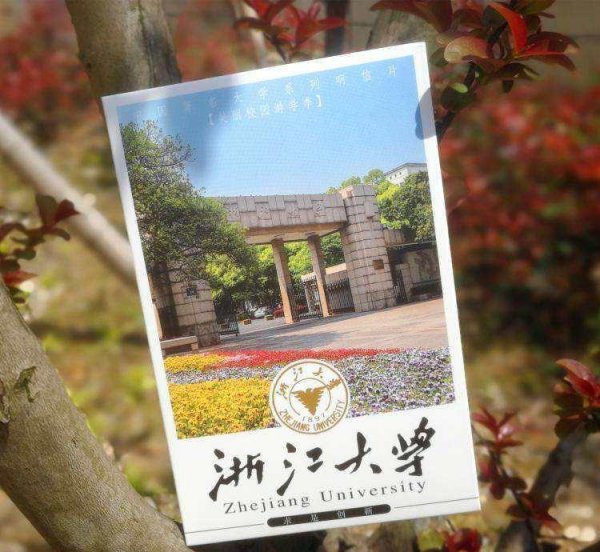 浙江大学排名一览表