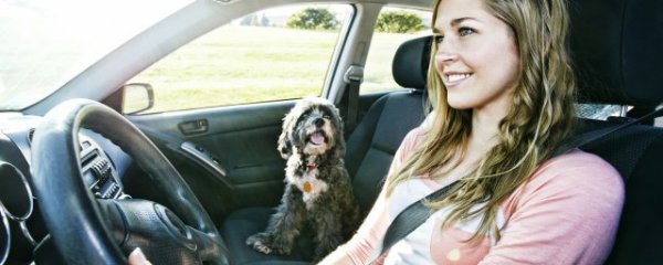 怎么判断车身是否正