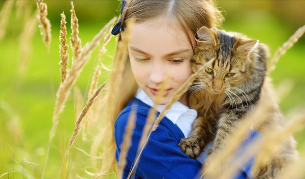 家里为什么要养猫