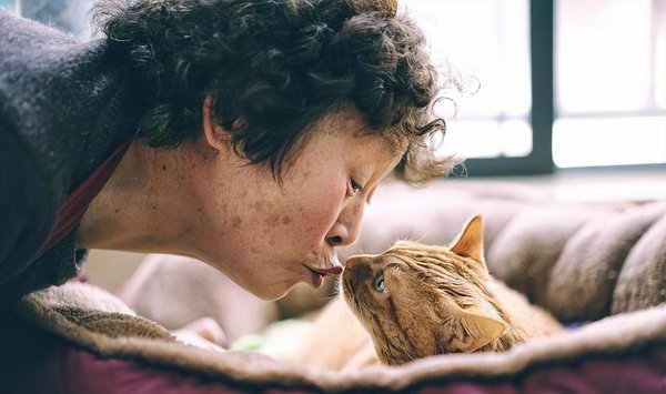 家里为什么要养猫