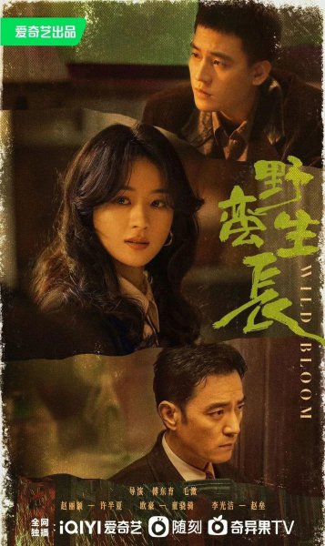 2023年好看的电视剧有哪些