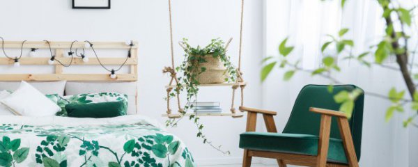 房间摆放什么旺桃花