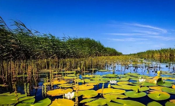 宝鸡十大免费旅游景点