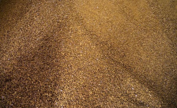 菜籽饼可以直接撒土里做肥料吗