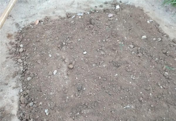 菜籽饼可以直接撒土里做肥料吗