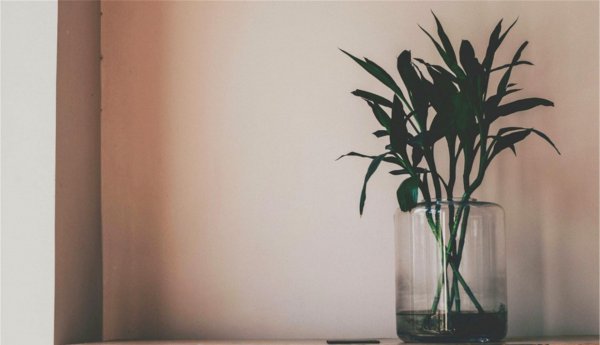 双鱼座男和什么座最配