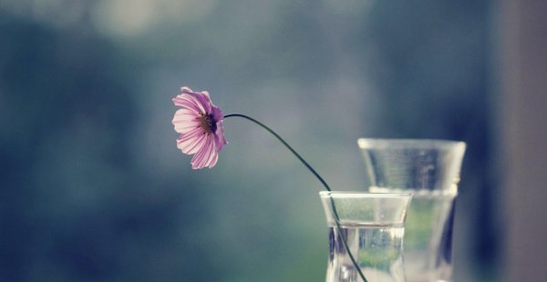 双鱼座男和什么座最配