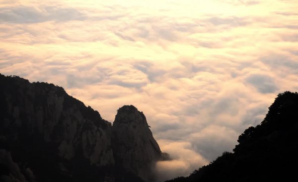 泰山海拔2795米还是1545米