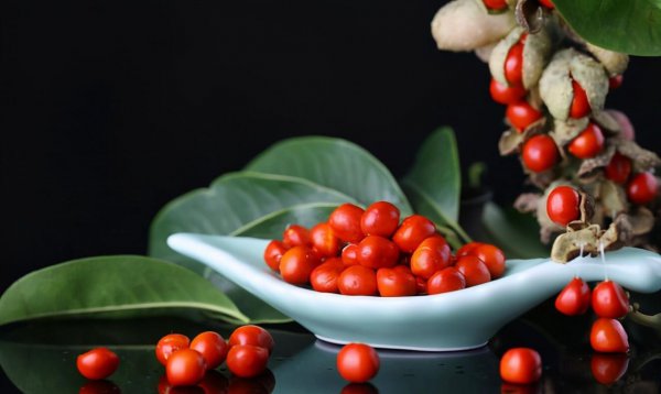 红豆为什么代表相思的意思