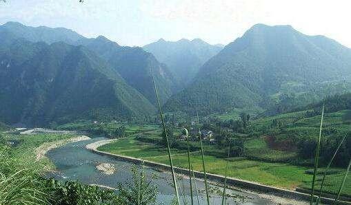 望月鳝真的存在吗