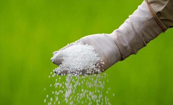 氮气的作用和用途